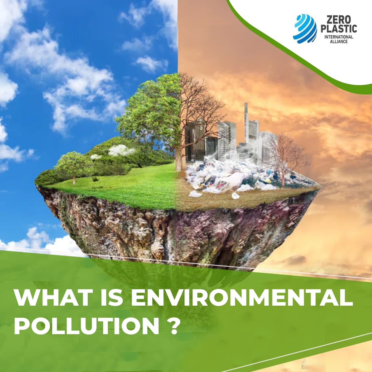 What is Environmental Pollution?