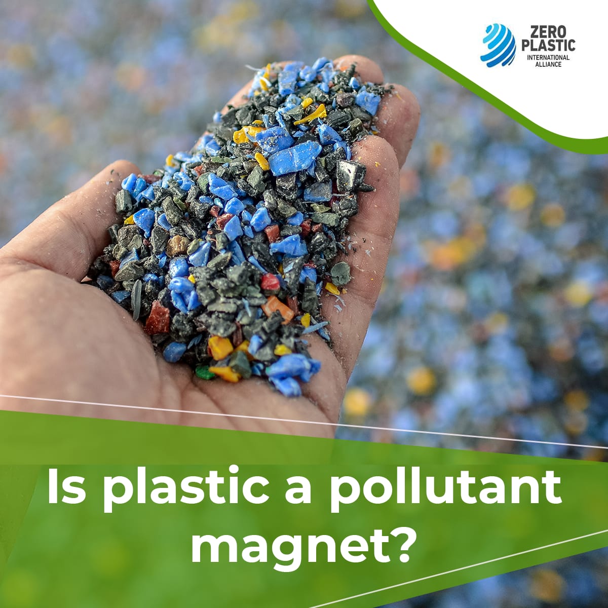 Is plastic a pollutant magnet?